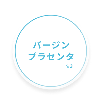 エラリウム